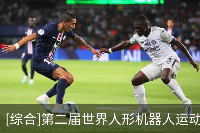 [综合]第二届世界人形机器人运动会圆满落幕